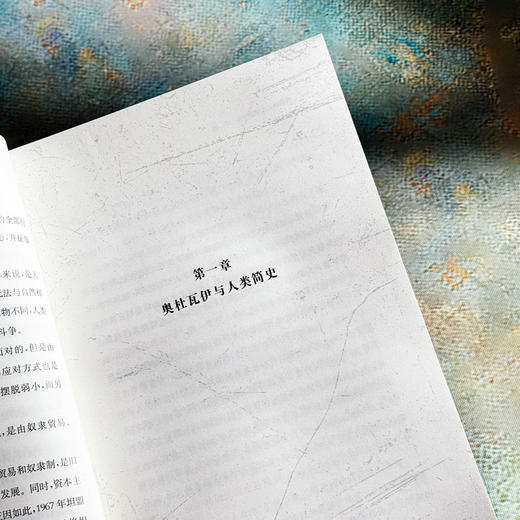 坦桑尼亚人斗争史 国别通史译丛 坦桑尼亚民族历史 民族语言 商品图7