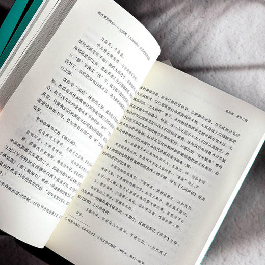 境界及其前后 王国维《人间词话》的诗性智慧论稿 冯尚 商品图10