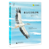 【独秀书香卡】飞行历险系列  来自天空的召唤 8~14岁及以上 （意大利）圭多·孔蒂 著、绘 林凤仪 译 商品缩略图0