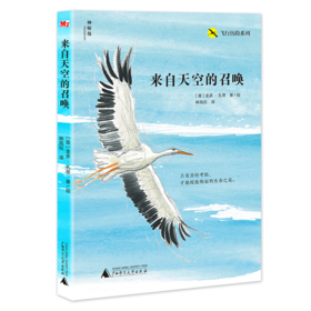 【独秀书香卡】飞行历险系列  来自天空的召唤 8~14岁及以上 （意大利）圭多·孔蒂 著、绘 林凤仪 译