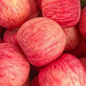  烟台红富士苹果脆甜多汁美味水果