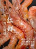 【易鲜得商城采购小哥自采】舟山红虾香甜软糯 可闭眼入手  特大号30-35只左右/斤 商品缩略图0