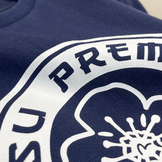 纯原25春夏新品EVISU男女短袖T恤 031904 商品图3