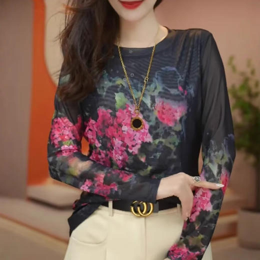 雀说圆领网纱打底小衫长袖女印花高级感春季新款洋气上衣时尚t恤ALSMZ34378 商品图1
