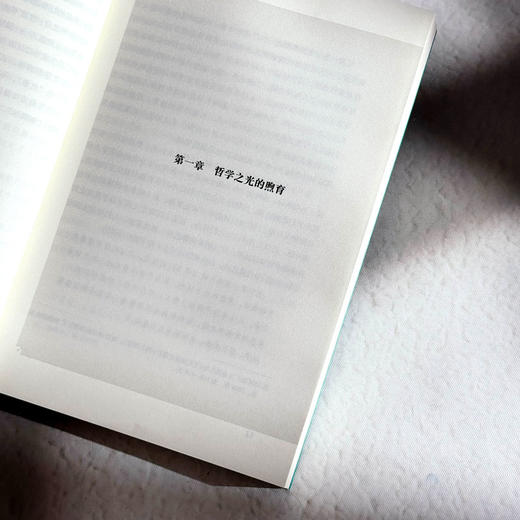 境界及其前后 王国维《人间词话》的诗性智慧论稿 冯尚 商品图7