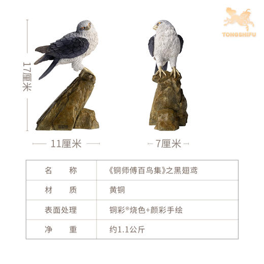 铜师傅《铜师傅百鸟集》之黑翅鸢 客厅桌面铜鸟摆件 家居工艺品 商品图5