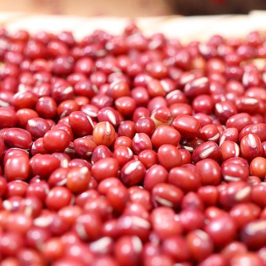 燕之坊臻选红小豆 800g 商品图3