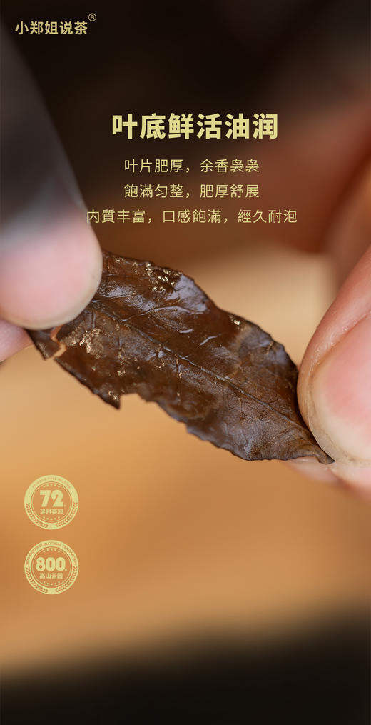 2013年 闽白时代·老白茶（寿眉） 中雄御品300g 商品图5