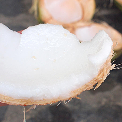 越南进口椰青 商品图3