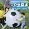 【充气足球】大号沙滩球充气网红足球户外玩具球幼儿园游戏道具 团建沙滩球100cm 商品缩略图0