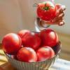 普罗旺斯水果西红柿 精品礼盒4近装 陕西泾阳原产地抢先发售 好评如潮 复购无数 商品缩略图2