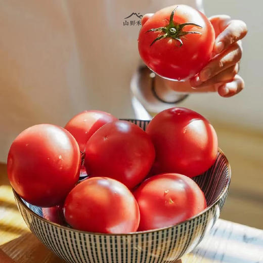 普罗旺斯水果西红柿 精品礼盒4近装 陕西泾阳原产地抢先发售 好评如潮 复购无数 商品图2