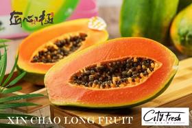 【BF】红心木瓜约630g一个