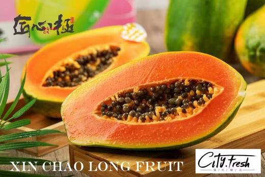 【BF】红心木瓜约630g一个 商品图0