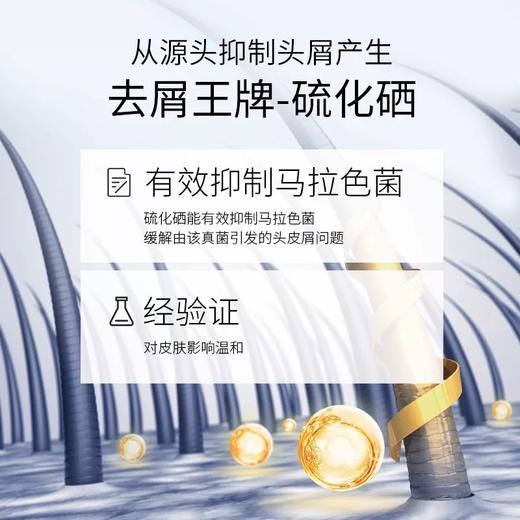 【保税仓】澳洲selsun洗发水去屑止痒控油无硅油洗发露 商品图4