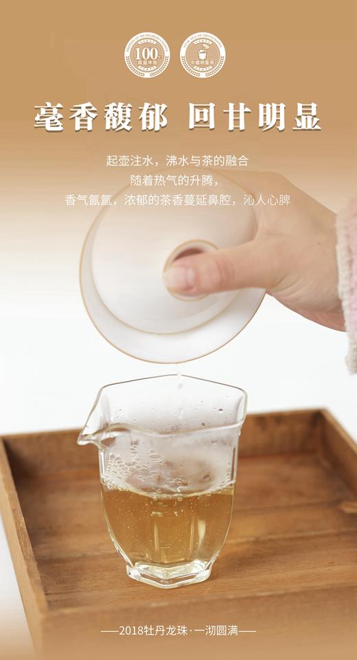 2018年 中雄御品 龙珠牡丹 白茶 商品图2