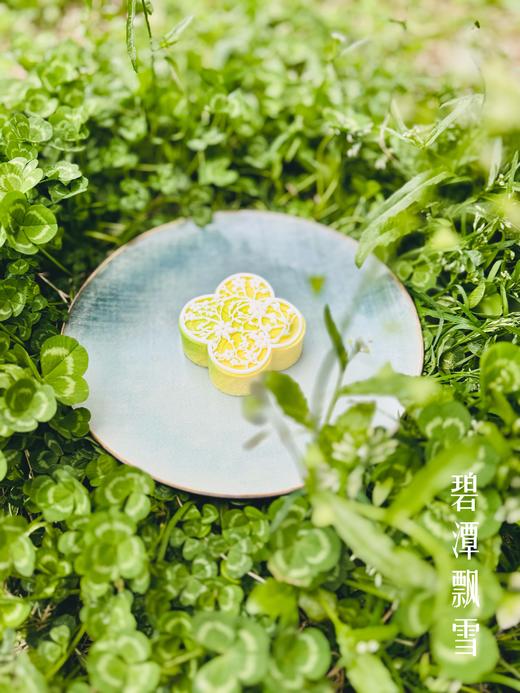 碧潭飘雪 商品图1