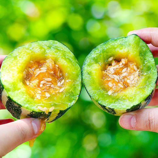 山东博洋9号蜜瓜 当季水果 整箱发货 商品图3