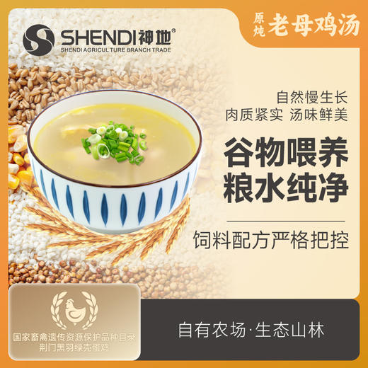 8分钟喝上正宗老母鸡汤 | 8小时原炖，甄选500天老母鸡汤，轻盐0负担，方便营养美味 商品图3
