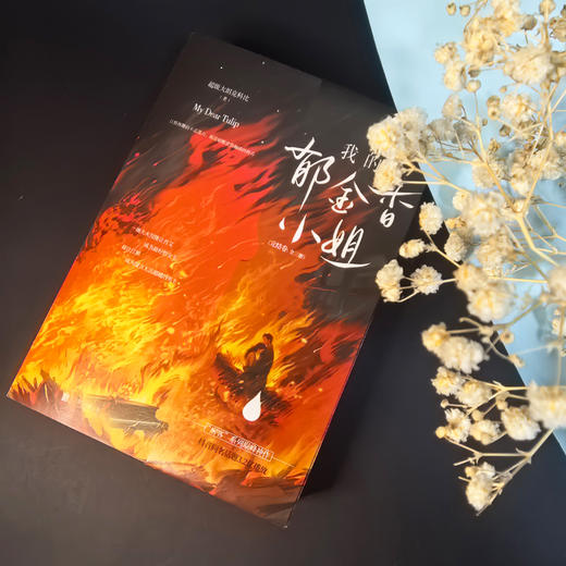 我的郁金香小姐。完结卷：全三册 | 上中下，完结卷，肖艾 / 陈艺 / 江桥，女房客三部曲，治愈纯爱流小说代表作品，抖音同名话题 3.2 亿播放 商品图2