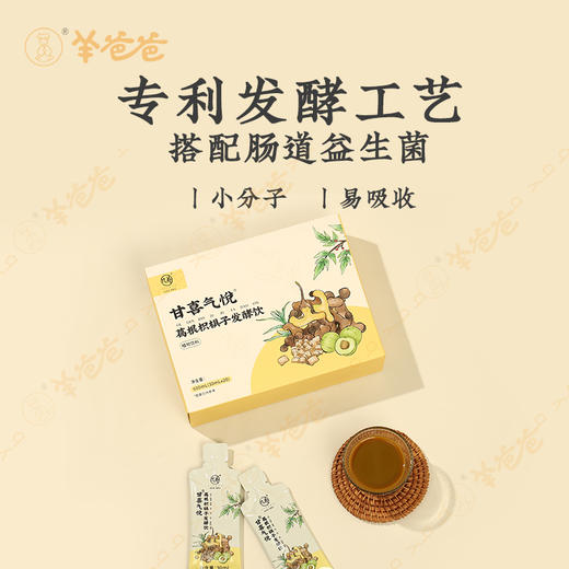 【葛根枳椇子发酵饮】 几养 | 发酵余甘子酸甘味明显 排忧解难刚刚好 商品图2