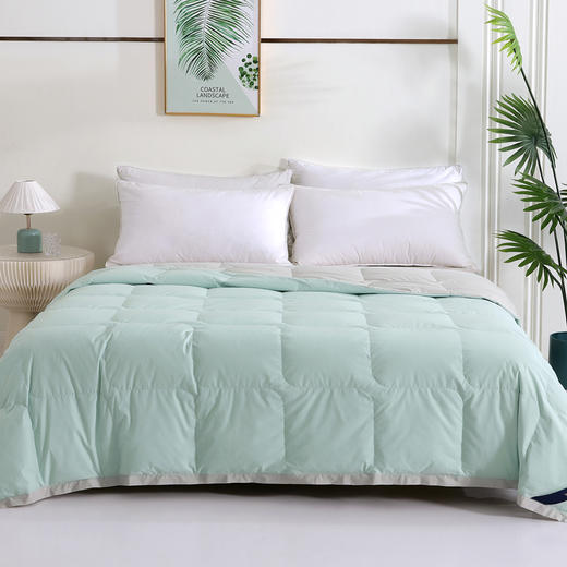 95%鹅绒春夏被 凉感触感 还能水洗机洗 商品图6