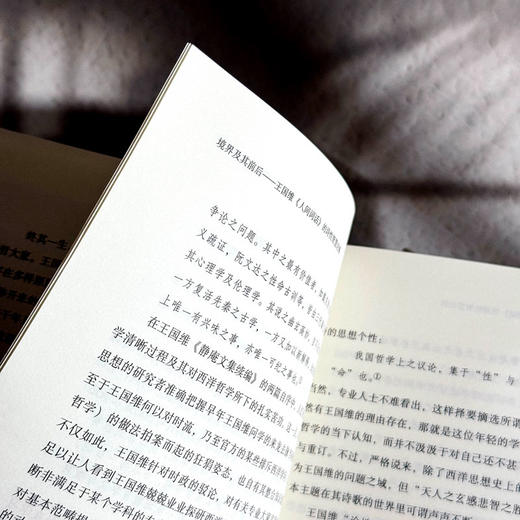 境界及其前后 王国维《人间词话》的诗性智慧论稿 冯尚 商品图9