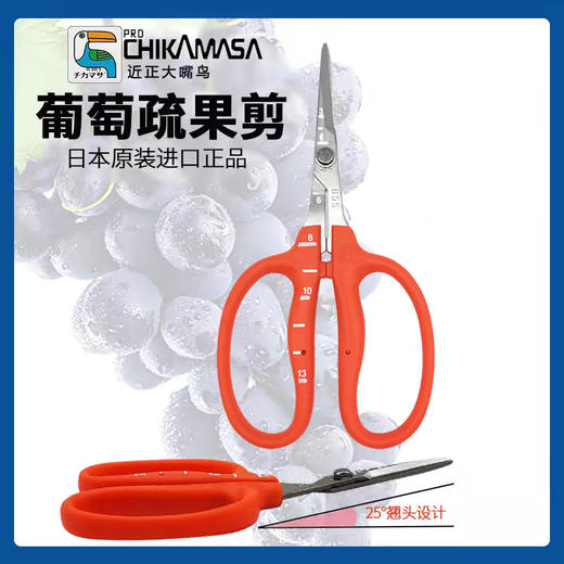 日本近正大嘴鸟--疏花疏果剪刀 商品图3