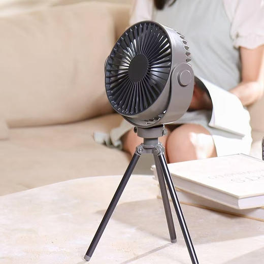【多样屋专柜】小旋风露营家用多功能电风扇 商品图0