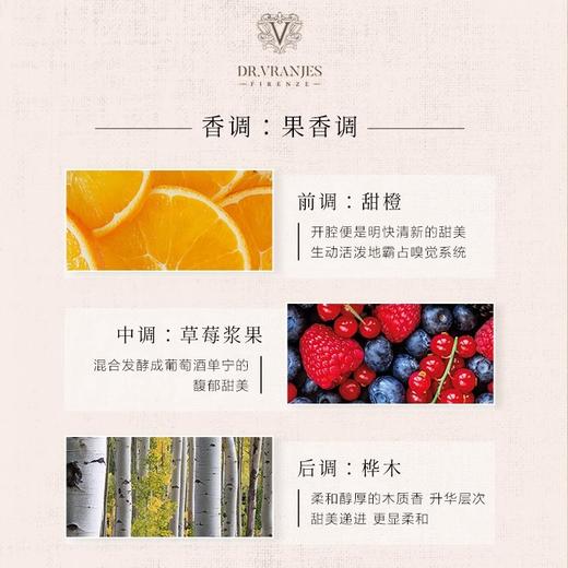 Dr.Vranjes馥意世红酒贵族无火藤条香薰礼物香氛乌木贵族无火藤条香薰 商品图5