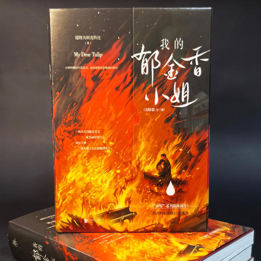 我的郁金香小姐。完结卷：全三册 | 上中下，完结卷，肖艾 / 陈艺 / 江桥，女房客三部曲，治愈纯爱流小说代表作品，抖音同名话题 3.2 亿播放 商品图4