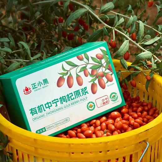 枸杞原浆，有机认证 鲜果现摘原榨 10袋/盒 商品图2