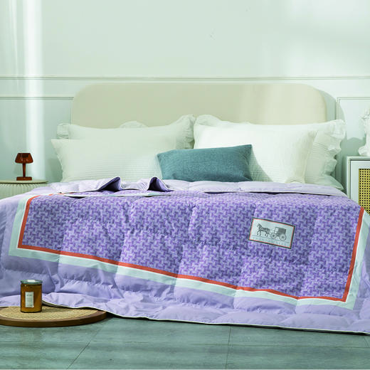 95%鸭绒春夏被 空调间轻保暖 亲肤透气 商品图5