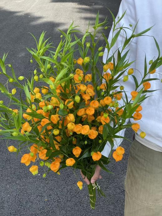 日本进口高端花材宫灯百合鲜切花 商品图4