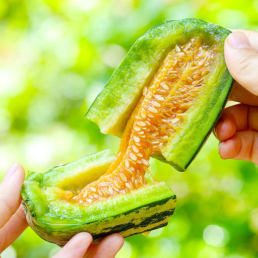 山东博洋9号蜜瓜 当季水果 整箱发货 商品图4