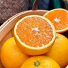 【果蔬精选】湖北秭归伦晚脐橙 享有“橙中皇后”的美誉 树上自然熟不打蜡 晚熟脐橙 果园新鲜采摘 香甜多汁 脆嫩可口 吃完汁水满手留香 商品缩略图1