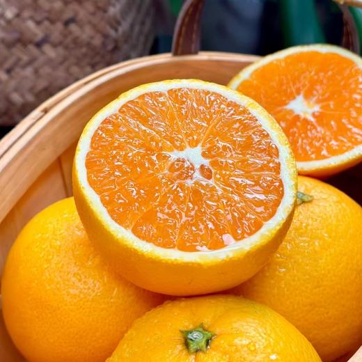 【果蔬精选】湖北秭归伦晚脐橙 享有“橙中皇后”的美誉 树上自然熟不打蜡 晚熟脐橙 果园新鲜采摘 香甜多汁 脆嫩可口 吃完汁水满手留香 商品图1