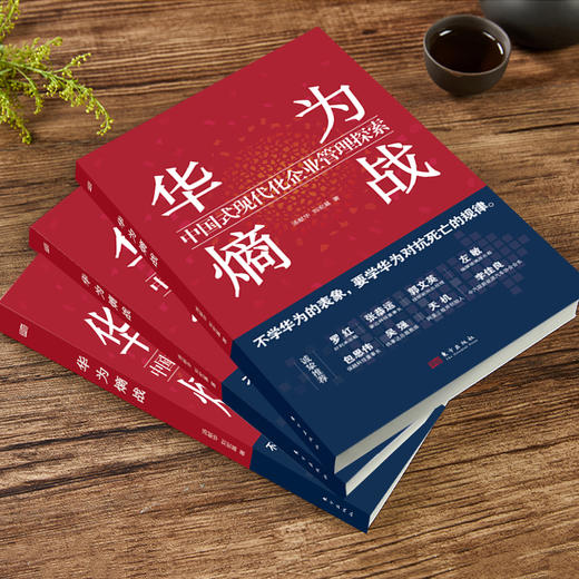 华为熵战：中国式现代化企业管理探索 商品图4