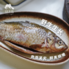 野生鲫鱼| 合作生产 * Carassius auratus | Partner Production 商品缩略图1