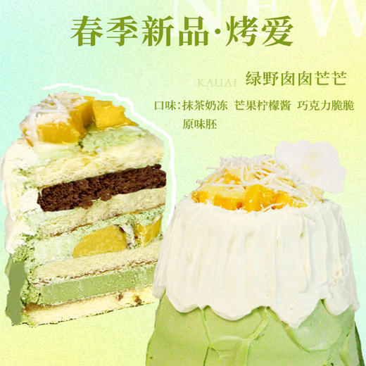 绿野囱囱芒芒 | 烤爱 商品图2