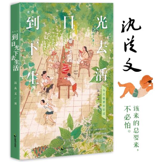 沈从文 到日光下去生活 商品图0