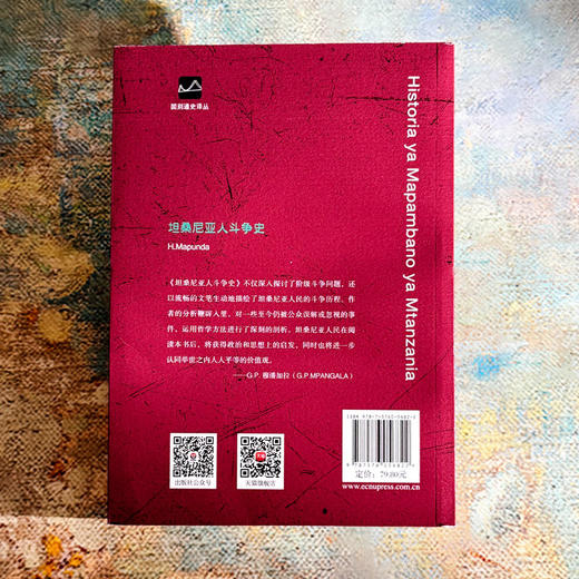 坦桑尼亚人斗争史 国别通史译丛 坦桑尼亚民族历史 民族语言 商品图2