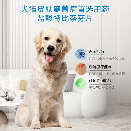 保灵呋贝舒保特盐酸特比萘芬片猫癣狗癣口服药真细菌灭皮炎皮肤病 商品图2