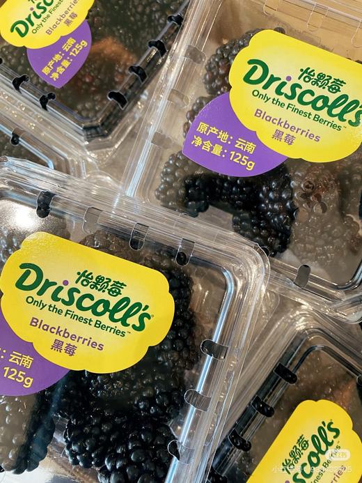 【BF】黑树莓一盒约125g 商品图0