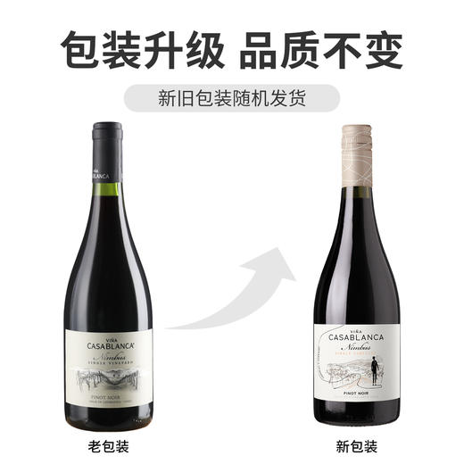 JS: 91卡萨布兰卡尼博山庄系列黑皮诺红葡萄酒 2021 智利Viña Casablanca Nimbus Pinot Noir Casablanca Valley DO 商品图3
