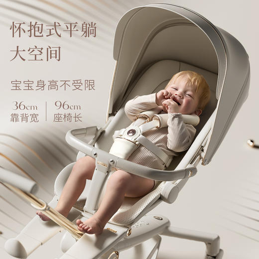 Delama德拉玛  Q2高景观推车 商品图6