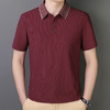 【冰丝弹力】【DCS】大依优型大码翻领短袖POLO衫男加肥大码夏装衣服休闲时尚半袖体恤休闲商务 商品缩略图2