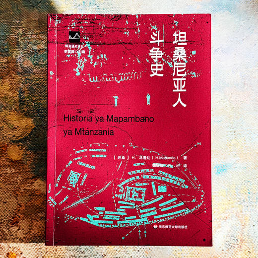 坦桑尼亚人斗争史 国别通史译丛 坦桑尼亚民族历史 民族语言 商品图1