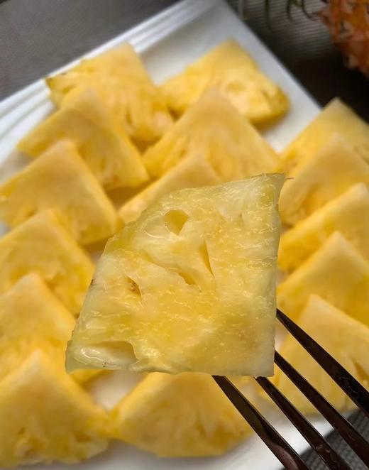 金钻凤梨 商品图1