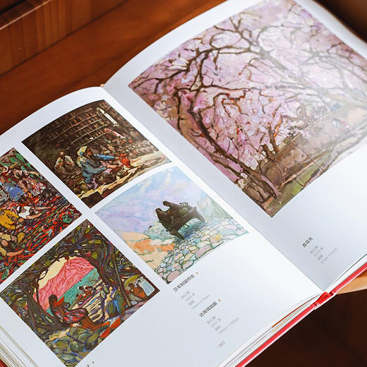 《我用一生画丝路》经典版 我用一生画丝路：赵以雄、耿玉琨艺术画集 商品图5